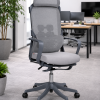 ERGO FLEX - Ash, Sleeping Mode Boss Chair - MID-FY-15-V3.